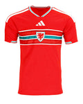 Wales 2026 Home kit [Custom Name/Number]