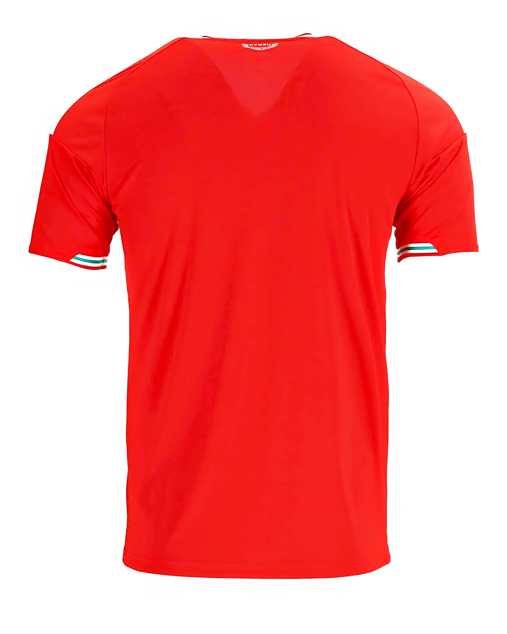 Wales 2026 Home kit [Custom Name/Number]